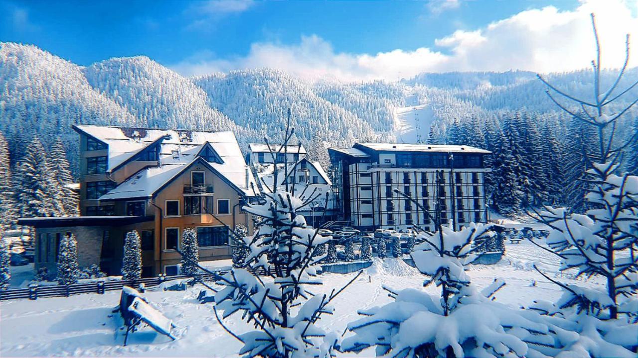 Casa Vinga - Restaurant&Jacuzzi Hotel Poiana Brasov Buitenkant foto
