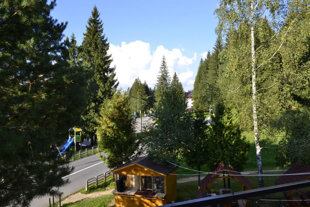 Casa Vinga - Restaurant&Jacuzzi Hotel Poiana Brasov Buitenkant foto