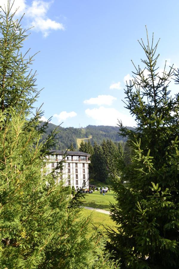 Casa Vinga - Restaurant&Jacuzzi Hotel Poiana Brasov Buitenkant foto